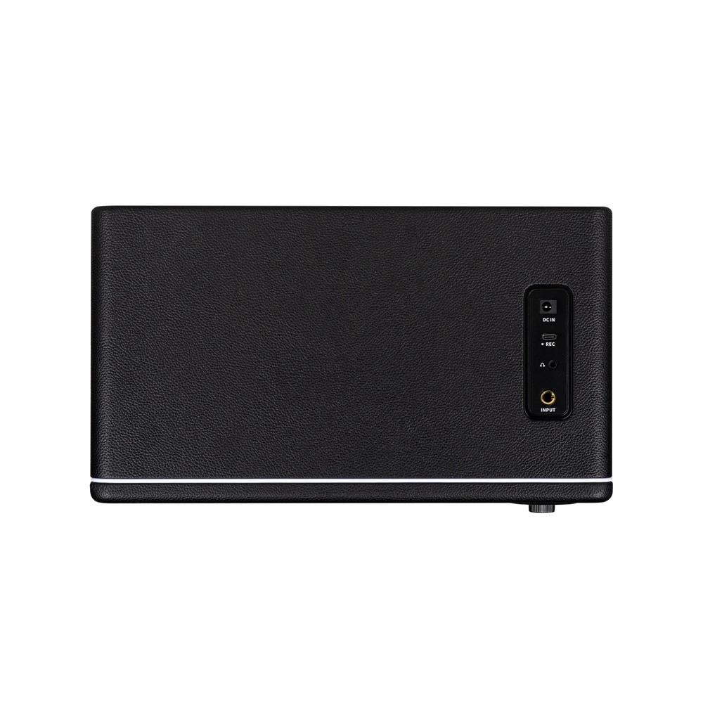 Mooer Hornet 30i Intelligent Amplifiers